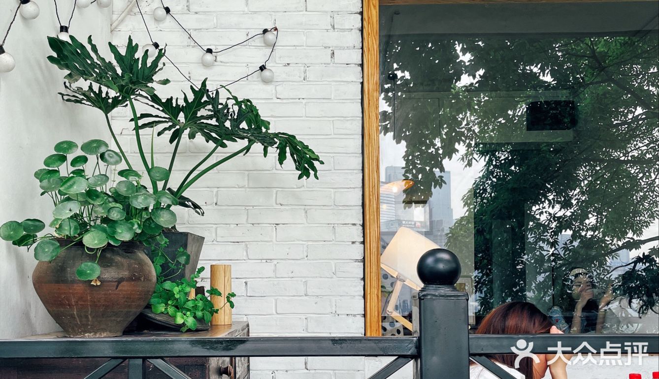 莎拉来啦｜网红戴家巷▪️来巷森撸猫呀🐱