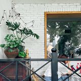 莎拉来啦｜网红戴家巷▪️来巷森撸猫呀🐱