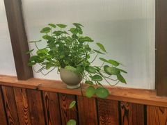 -瓷语堂(上海五维空间创意园店)