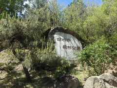 -白水寺森林公园