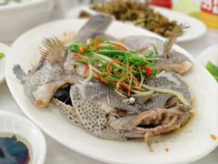 -渔香餐厅·海鲜大排档·现捞活海鲜(南澳旅游必选店)