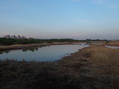 -哈尔滨大剧院