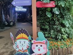-花之城