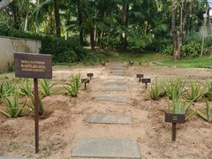 -海南清水湾莱佛士酒店