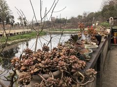 -生宇山珍野生菌汤锅•始于1999(双流古塔店)
