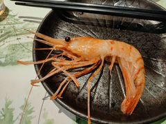 -黑松白鹿(崇文门新活馆店)