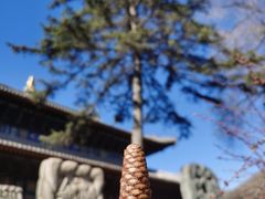 -五台山风景名胜区