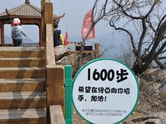 -大岭沟猕猴桃谷风景区