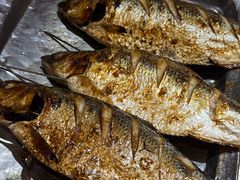 -老白清真烧烤(锦州旗舰店)