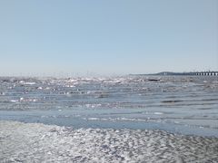 -南汇新城海滩