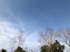 -艾溪湖湿地公园