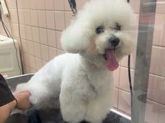 -FAELING PETS美天灵宠物(富力广场店)