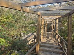 -大岭沟猕猴桃谷风景区