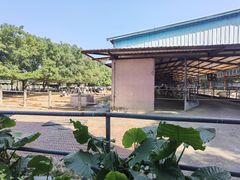 -光明农场大观园