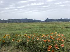 -敕勒川草原