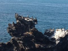 -龙头岩(Dragon Head Rock)