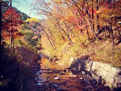 -丹东天桥沟景区