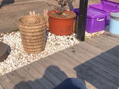 -心无尘茶餐馆(径山村店)