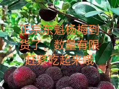 -温州一家人美食(西木头市店)