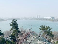 -九华山公园