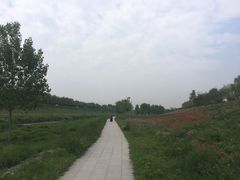 -洨河生态公园