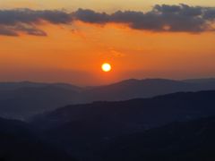 -仁和人家
