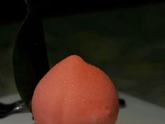 -辛香汇·现炒川菜(淮海路百盛店)