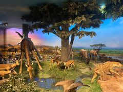 -国家自然博物馆