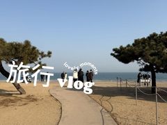 -山东八大碗山东老字号