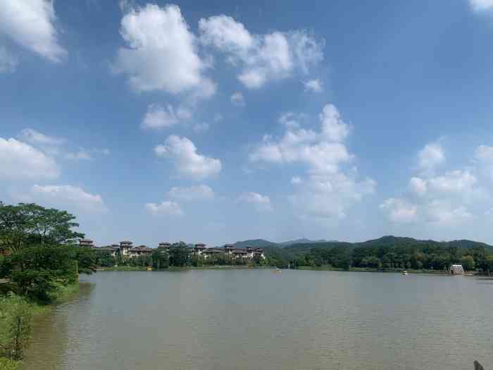 美的鹭湖森林度假区-"一个非常大的度假村景区,景区内设施都算几.
