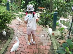 -吉隆坡雀鸟公园