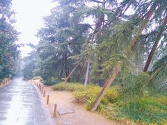 -灵隐飞来峰景区
