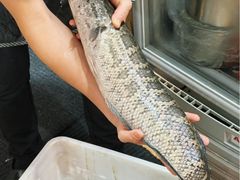 -大鼎石锅鱼(春江里店)