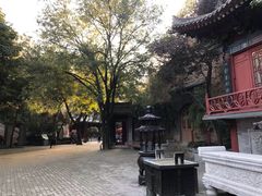 -西安曲江寒窑遗址公园