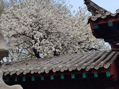 -趵突泉景区