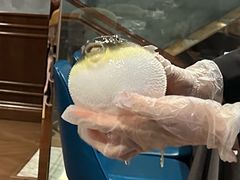 -肆月河豚·新淮扬(金融街店)