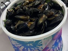 -燕窝岭