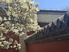 -泰山风景名胜区-普照寺