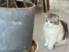 -seeu coffee(江滩店)