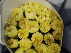 -三圣花乡旅游区