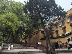 -灵岩山风景区