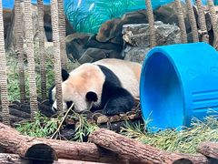-杭州动物园
