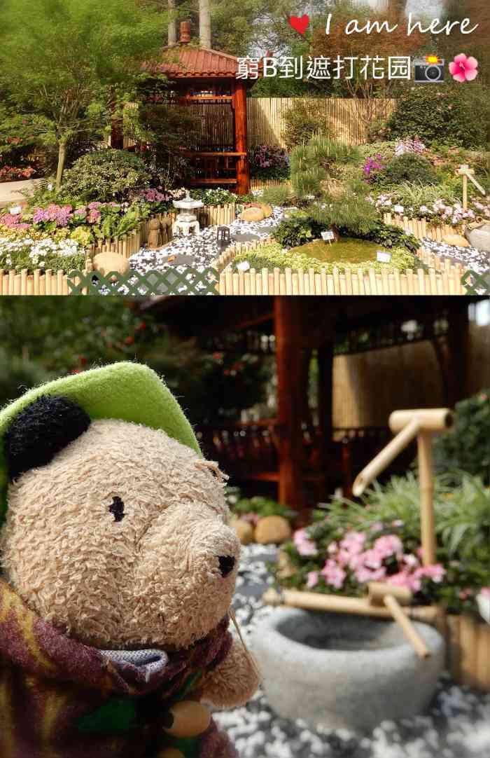 遮打花园-"自从今年 2021年,康文署举办18区网."-大众点评移动版