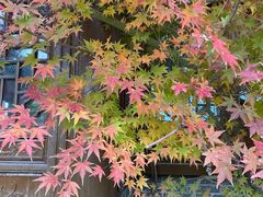 -白鹿原·白鹿仓