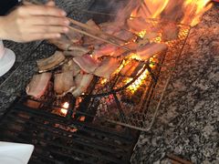 -蘑统田下·野生菌火锅