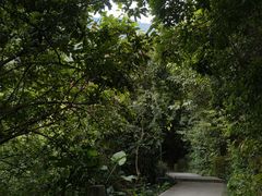 -小南山公园
