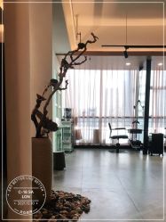 -C-18 SALON