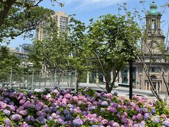 -北外滩滨江绿地