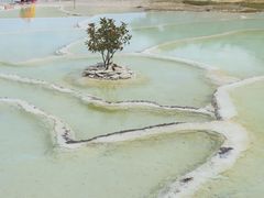 -白水台