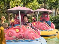 -南宫五洲植物乐园